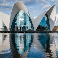 e69470a36e07c3c634b4296406a40610-Oceanografic-Valencia